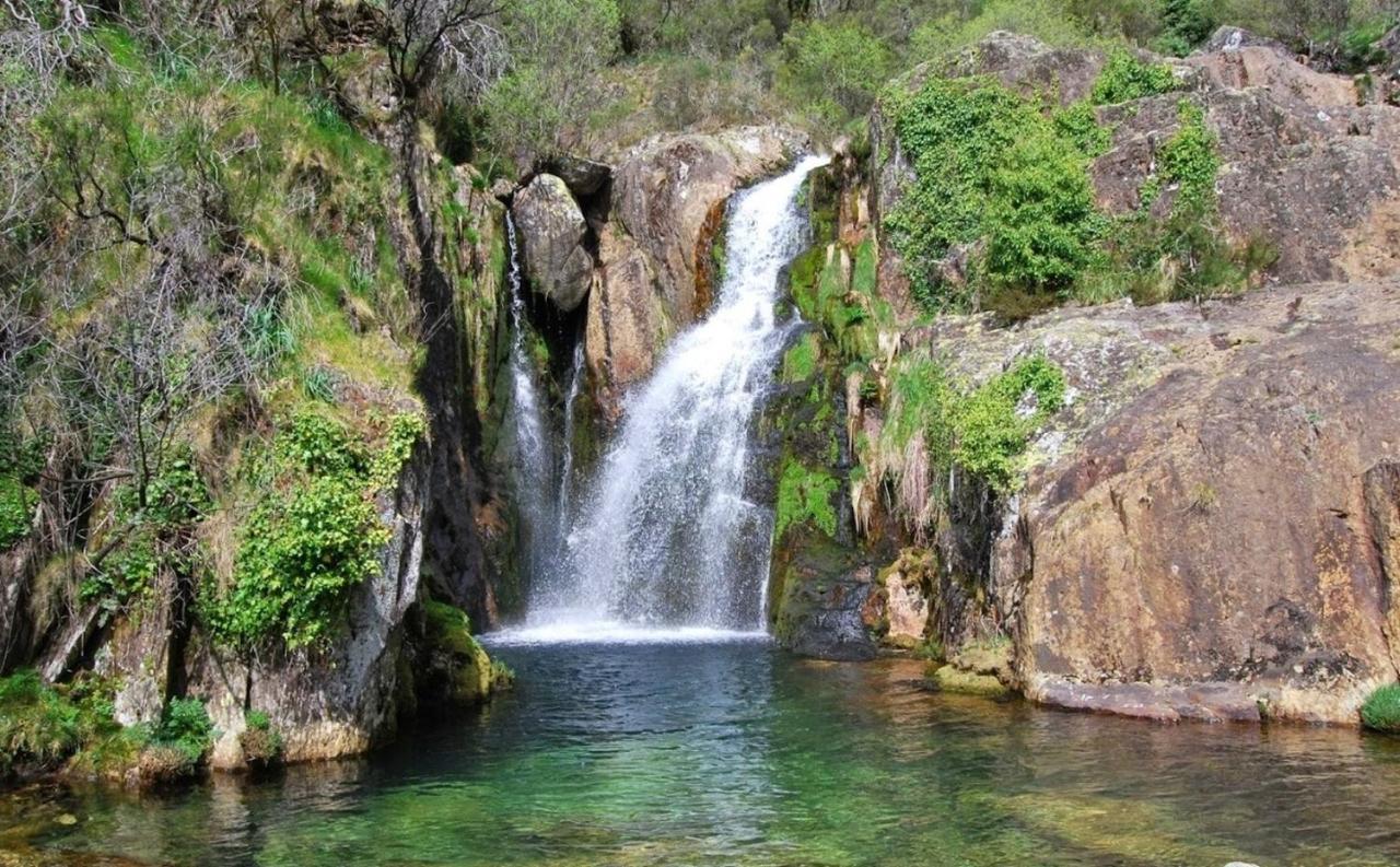 Arouca Passadicos Alojamento & Jacuzzi Екстер'єр фото